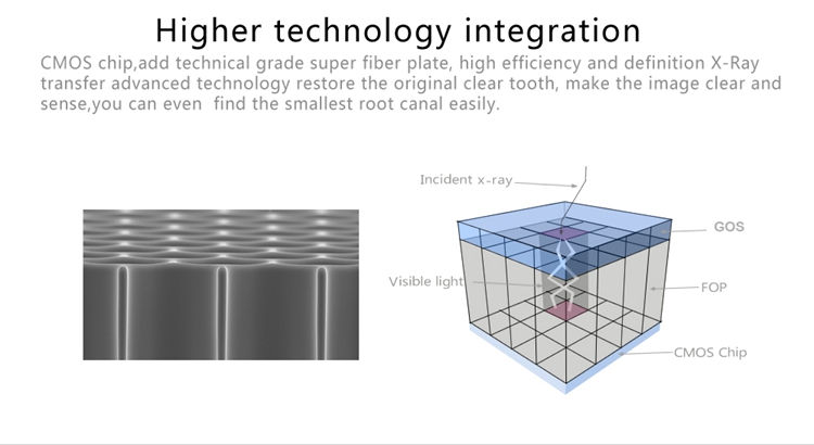 XR45 Intraoral Sensor HDR-500